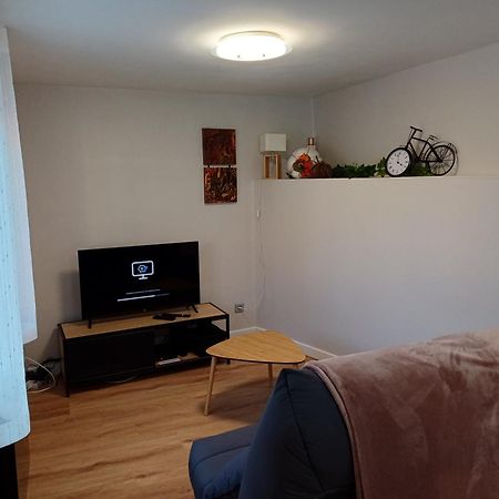 Apartamento Le Petit Fleck Haguenau Exterior foto