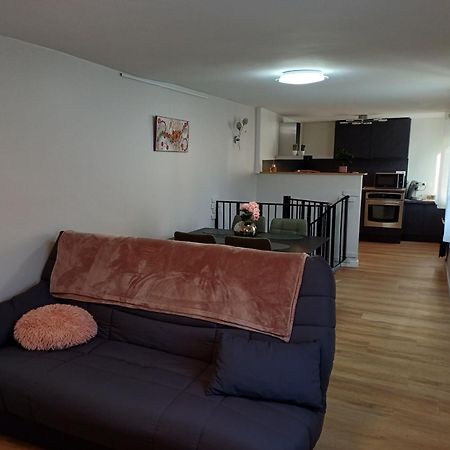 Apartamento Le Petit Fleck Haguenau Exterior foto
